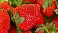 jahody strawberries-1303374 1280